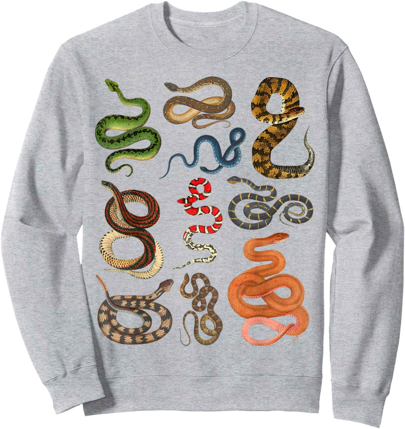 Types Of Snakes Educational Herpetologist Kids Boys Girls Sweatshirt - Sweatshirt | Ash