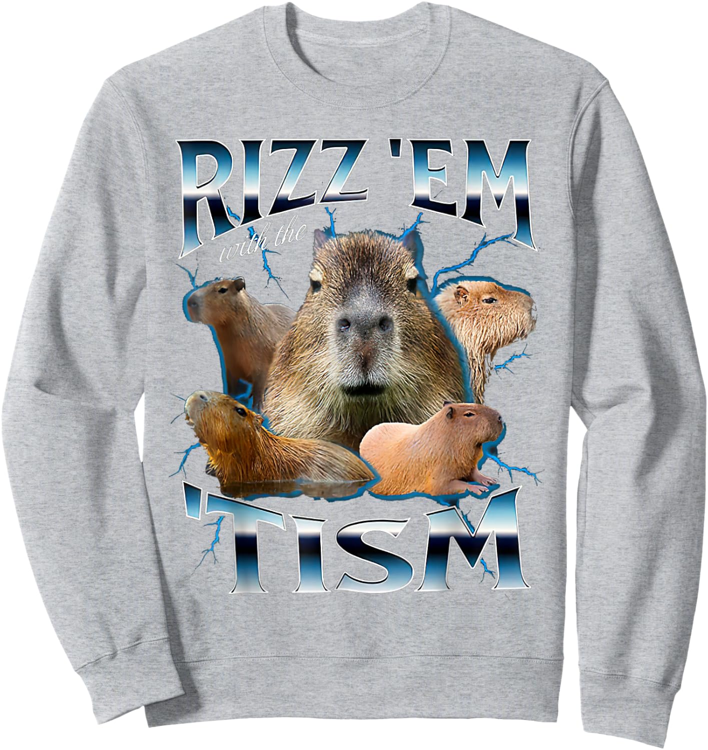 Rizz Em With The Tism Capybara Funny Oddly Dank Meme Sweatshirt - Sweatshirt | Ash