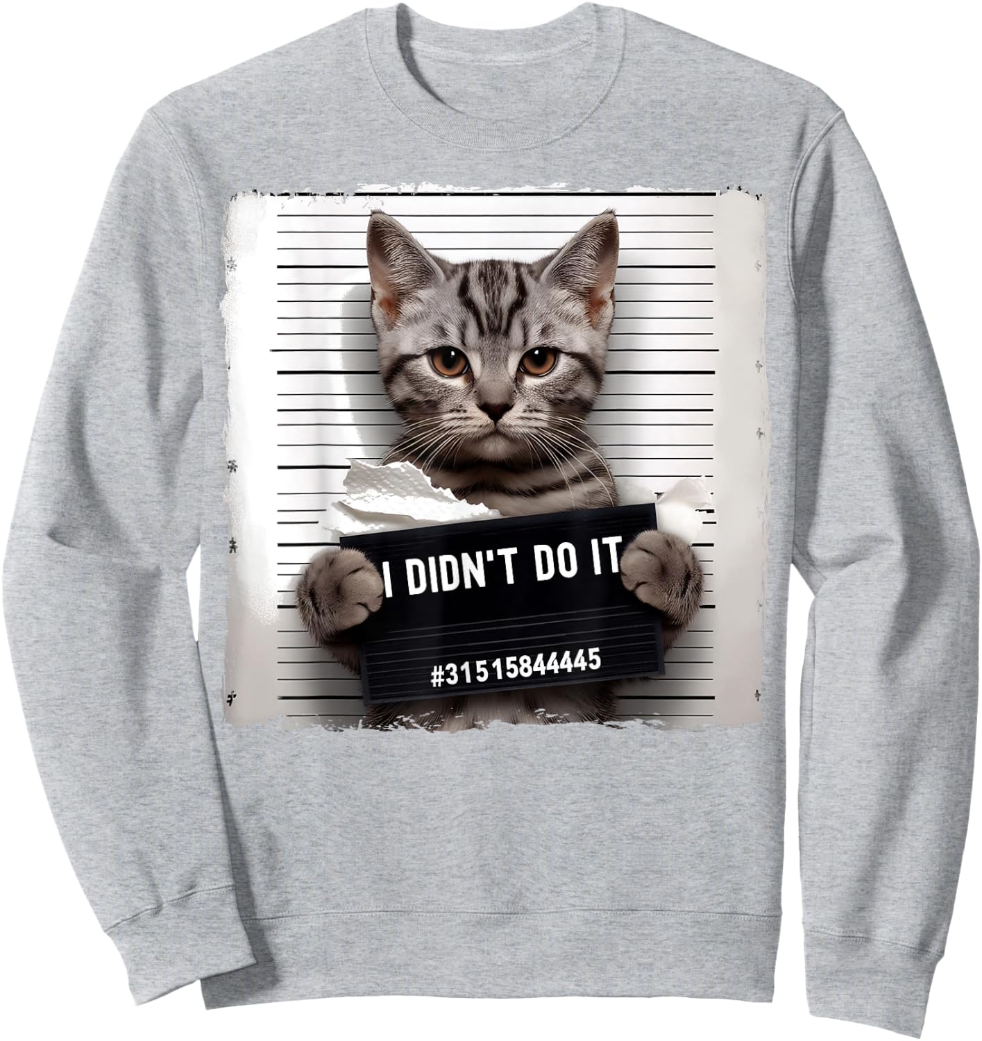 Funny Cat Meme Police Lineup I Didn't Do It Angry Kitten Men Women Kids Sweatshirt - Sweatshirt | Ash