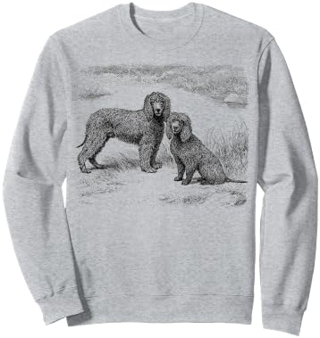 Irish Water Spaniel vintage Irish Water Spaniels Sweatshirt - Sweatshirt | Ash