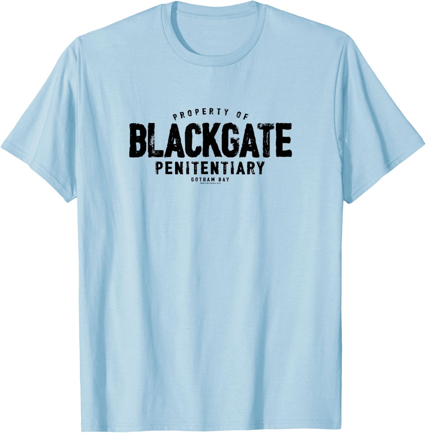 Batman Blackgate Penitentiary T-Shirt - T-Shirt | Light Blue