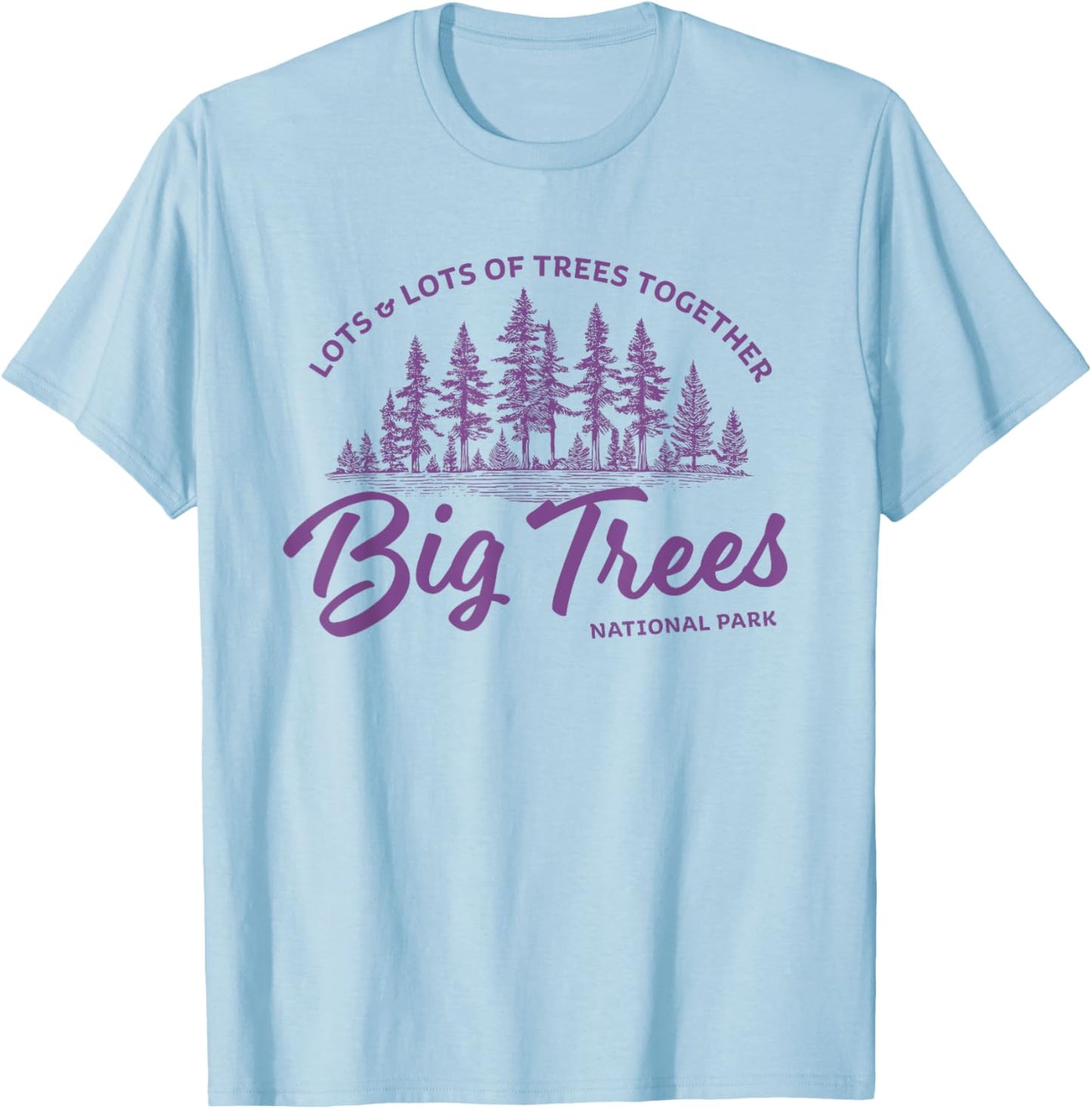 Big Trees Park - Hanson Band Fan Concert Tour Wear T-Shirt - T-Shirt | Light Blue