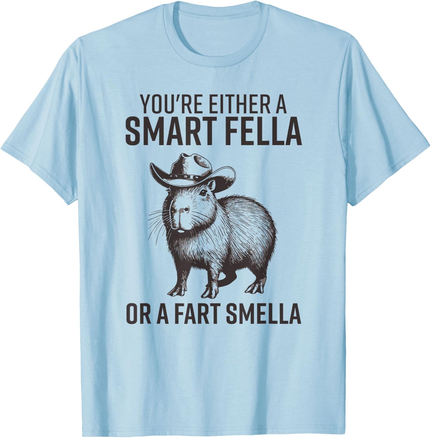 You're Either A Smart Fella Or A Fart Smella Funny Capybara T-Shirt - T-Shirt | Light Blue