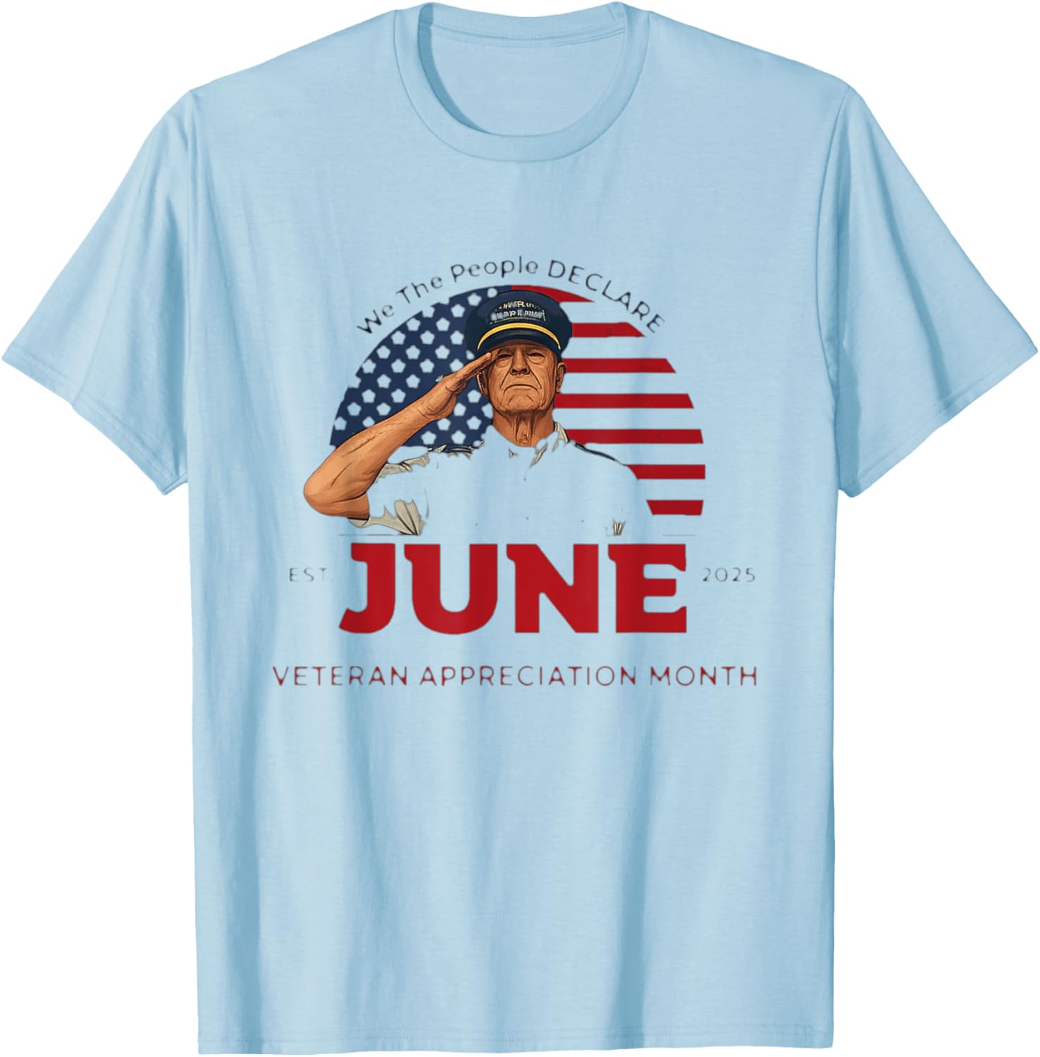 June Veteran Month 2025 Happy Veteran's Month Appreciation T-Shirt - T-Shirt | Light Blue