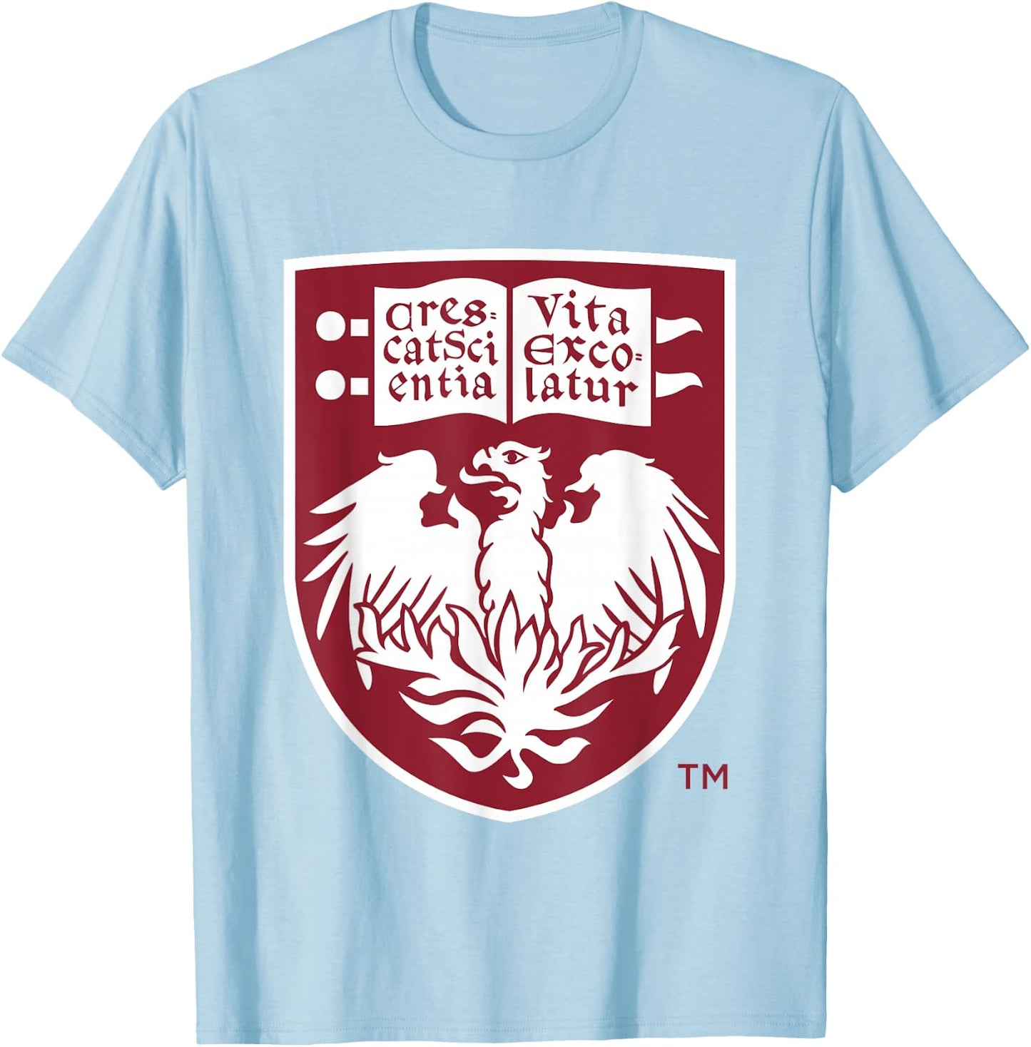 Chicago Maroons Icon Gray Officially Licensed T-Shirt - T-Shirt | Light Blue