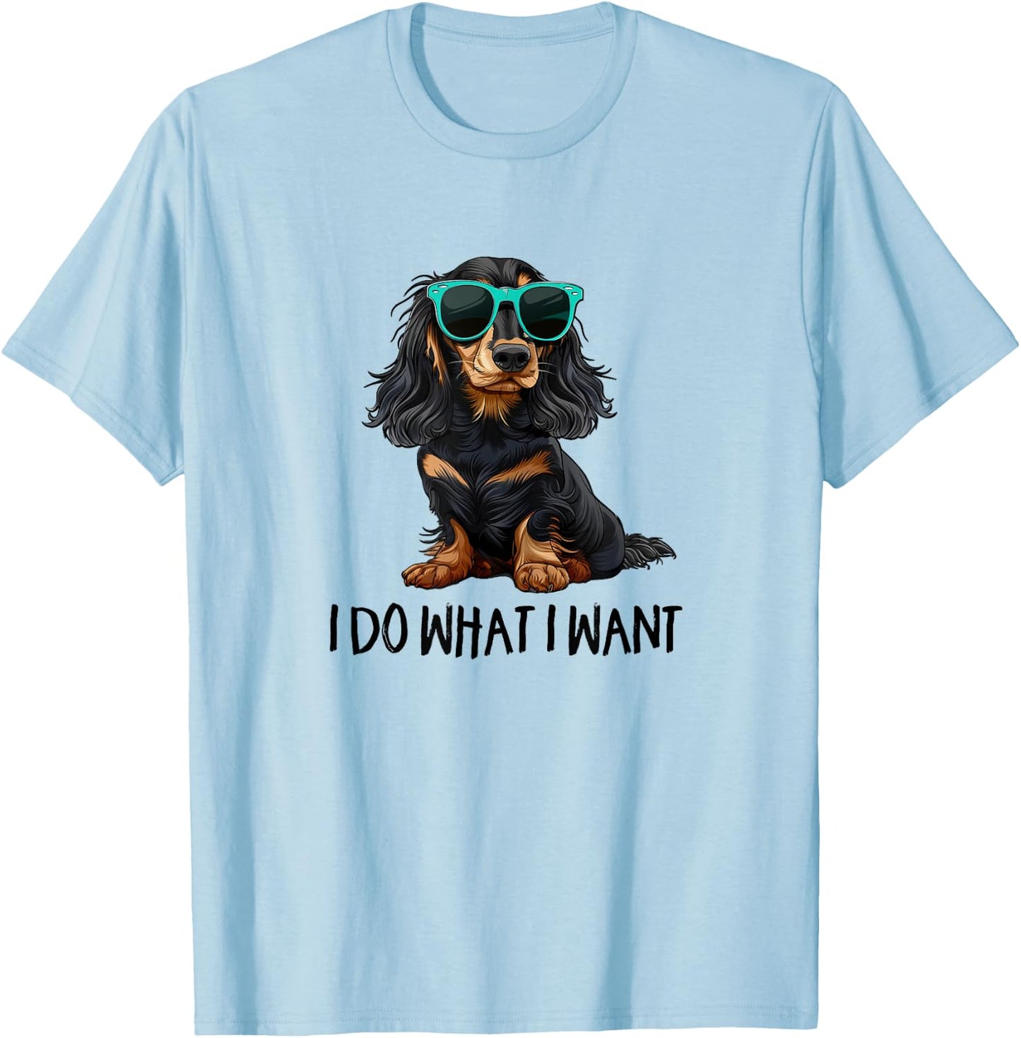 Funny Do What I Want Black Long Haired Dachshund Lover T-Shirt - T-Shirt | Light Blue