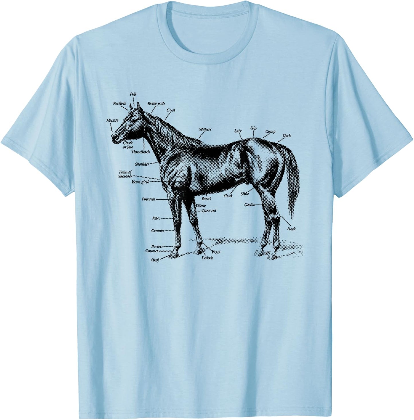 Big Texas Anatomy of a Horse T-Shirt - T-Shirt | Light Blue