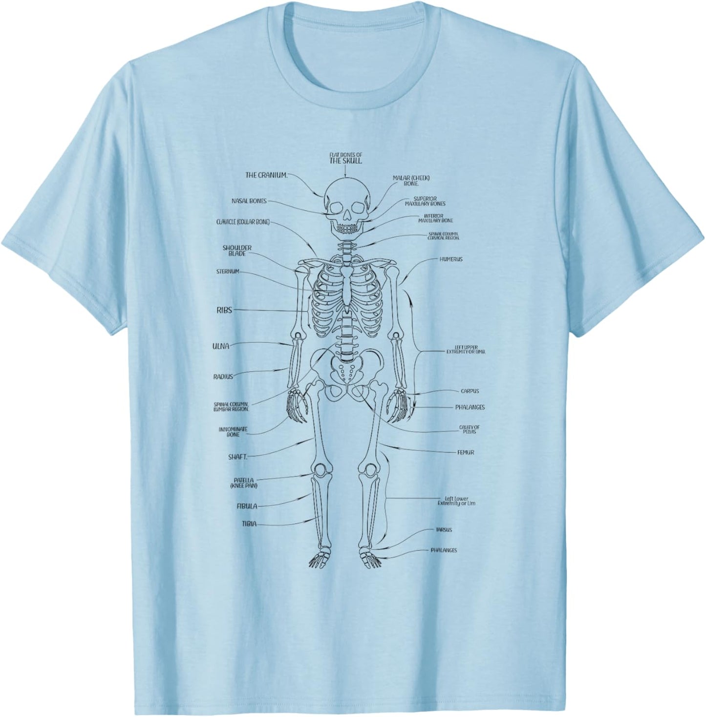 Human body anatomy science teachers students T-Shirt - T-Shirt | Light Blue