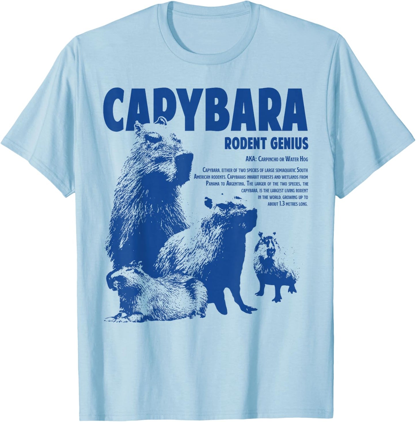 Capybara Rodent Genius Funny Information For Capybara Lover T-Shirt - T-Shirt | Light Blue