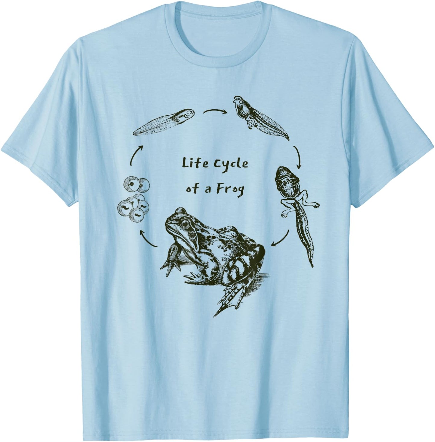 Frog Toad Life Cycle Biology Teacher Vintage Science T-Shirt - T-Shirt | Light Blue
