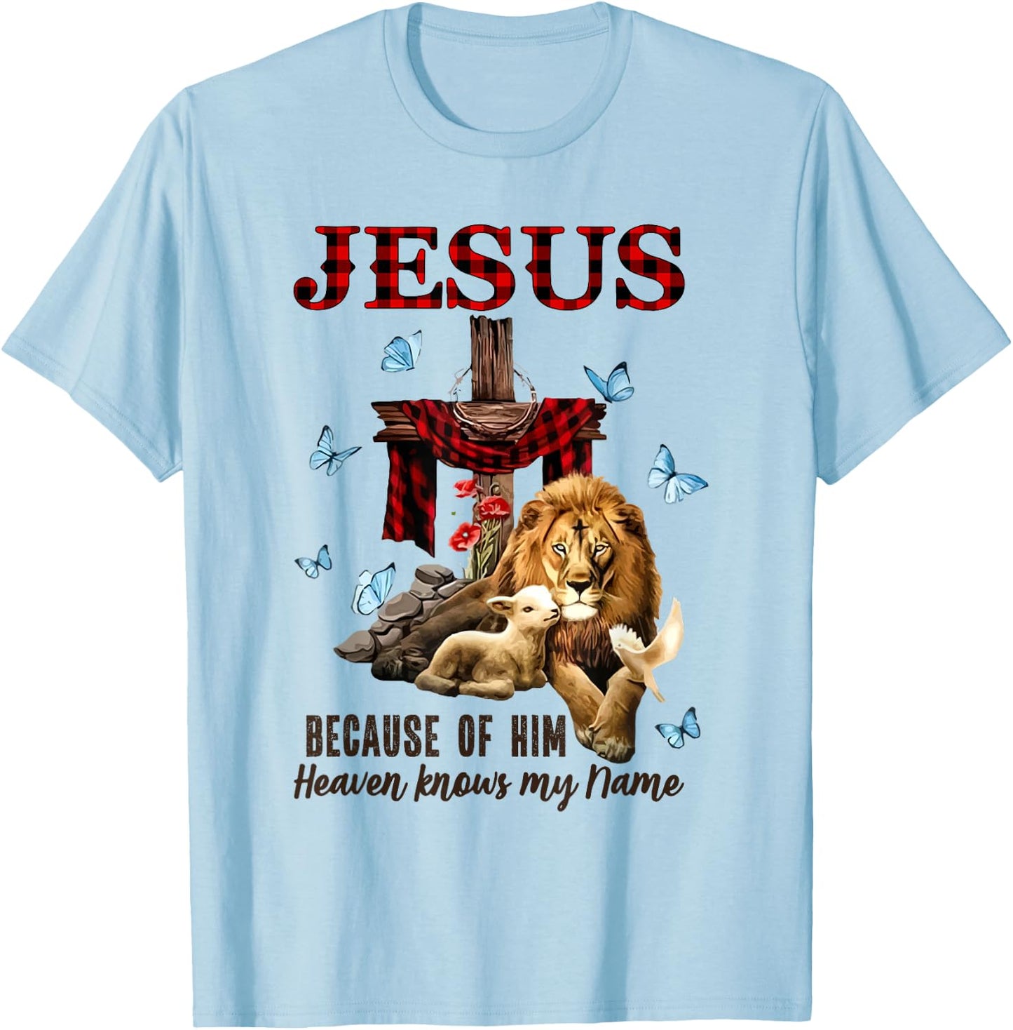 FAITH Jesus Lion Lamb Heaven Know My Name T-Shirt - T-Shirt | Light Blue