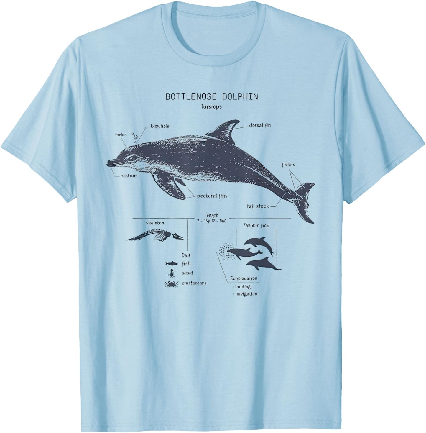 Bottlenose Dolphin Anatomy Marine Biology T-Shirt - T-Shirt | Light Blue