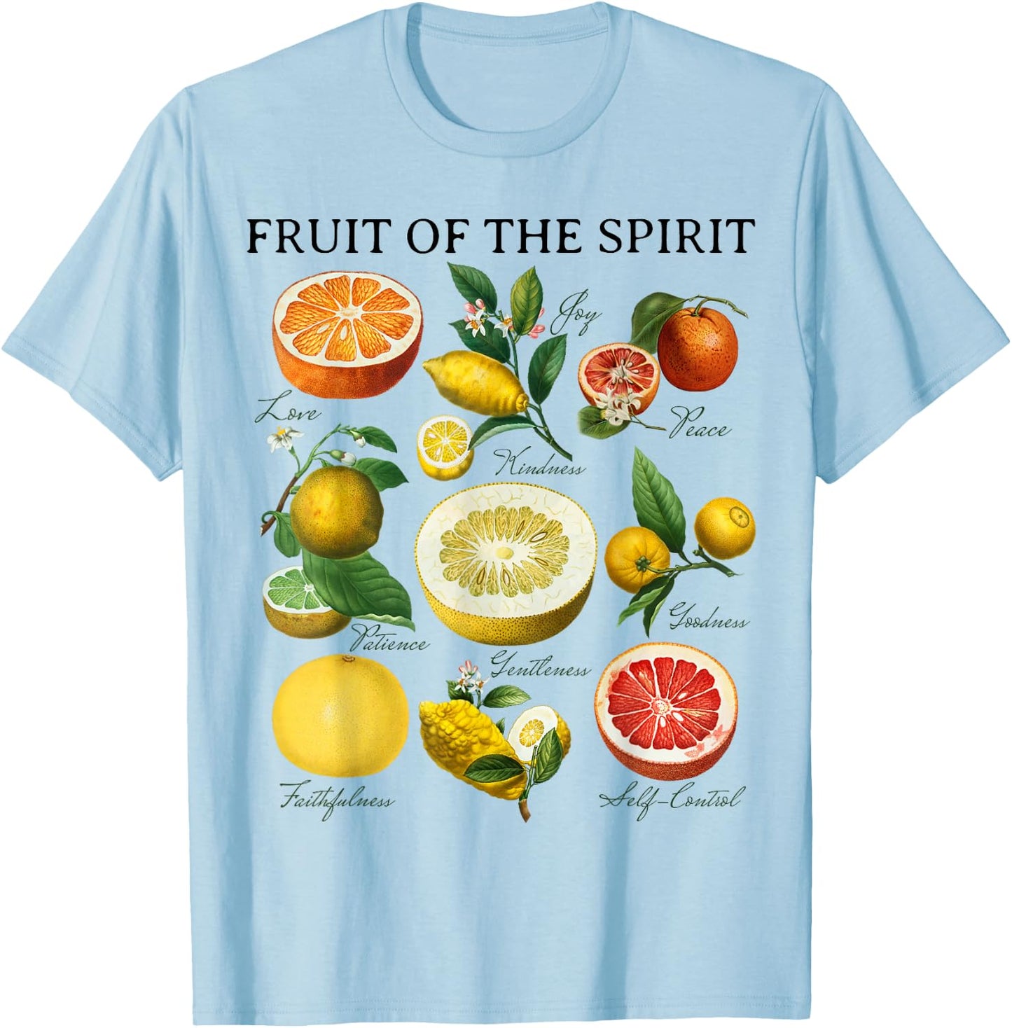 Fruit of the Spirit Galatians 5:22 Christian Bible Scripture T-Shirt - T-Shirt | Light Blue