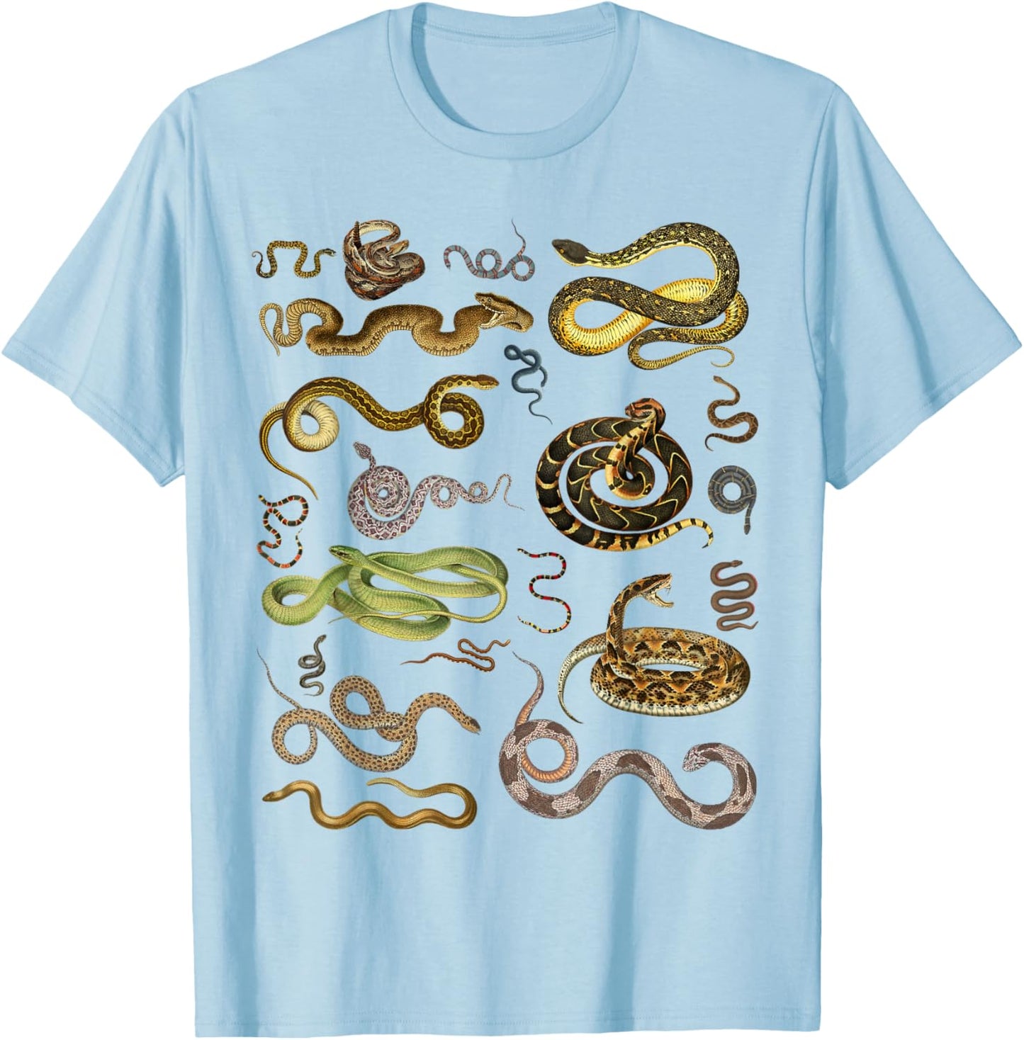Types Of Snakes Educational Herpetologist Kids Boys Girls T-Shirt - T-Shirt | Light Blue