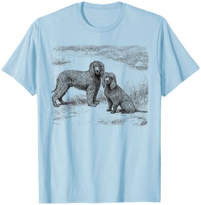 Irish Water Spaniel vintage Irish Water Spaniels T-Shirt - T-Shirt | Light Blue