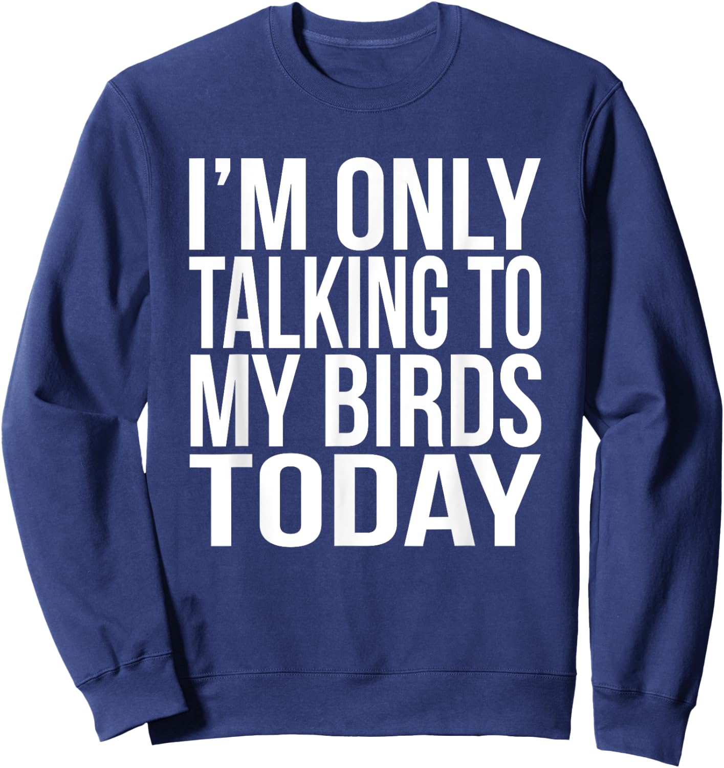I'm Only Talking To My Birds Today Gift A Pet Bird Lover Sweatshirt - Sweatshirt | Navy