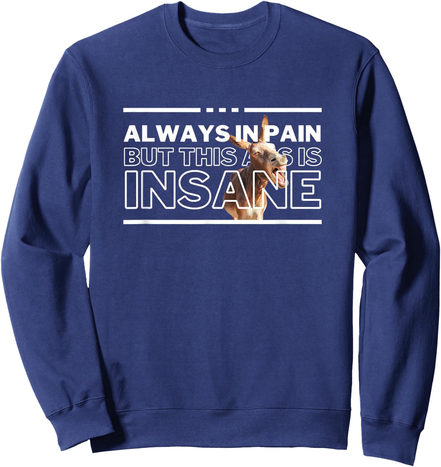 UnhingedHellions Always In Pain But Insane Funny Workout Gym Pump Cover Meme Sweatshirt - Sweatshirt | Navy