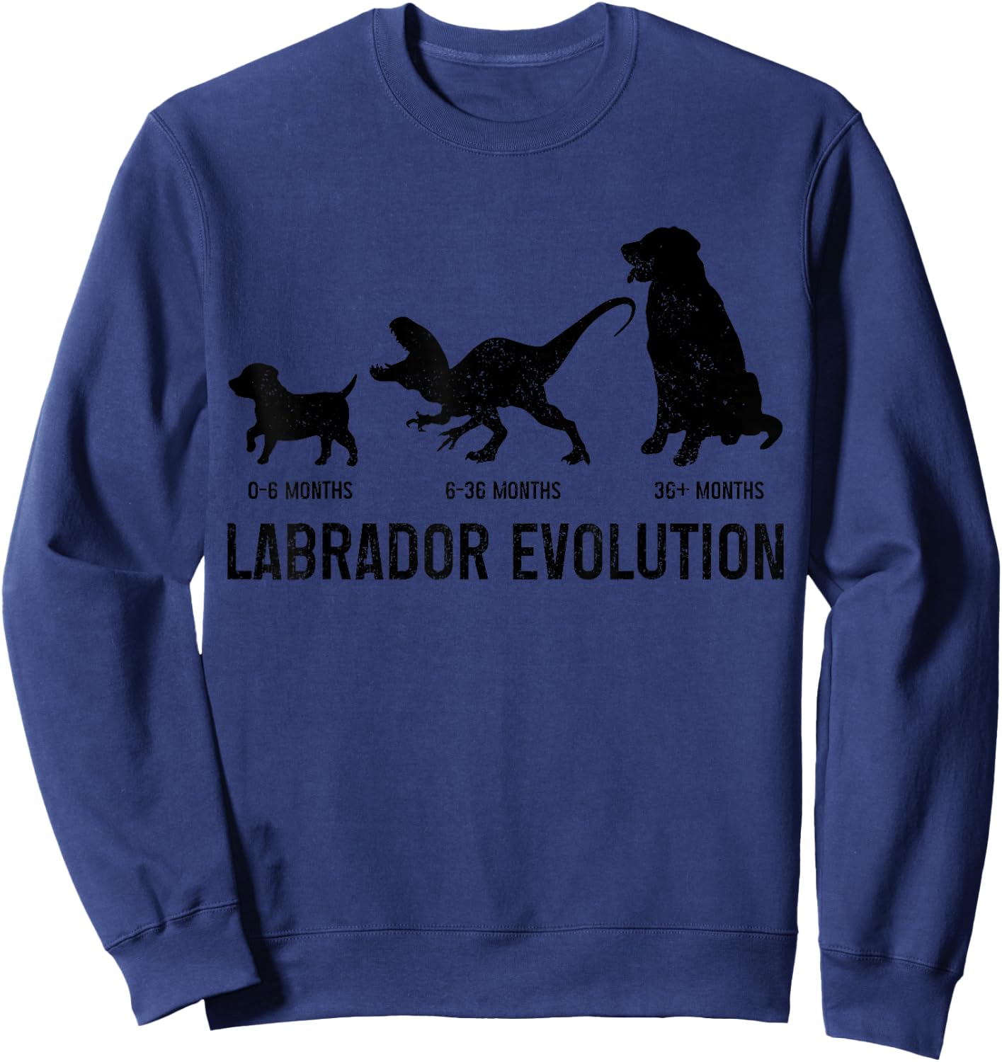 Labrador Evolution Funny Labrador Retriever Mom Dad Dog Sweatshirt - Sweatshirt | Navy