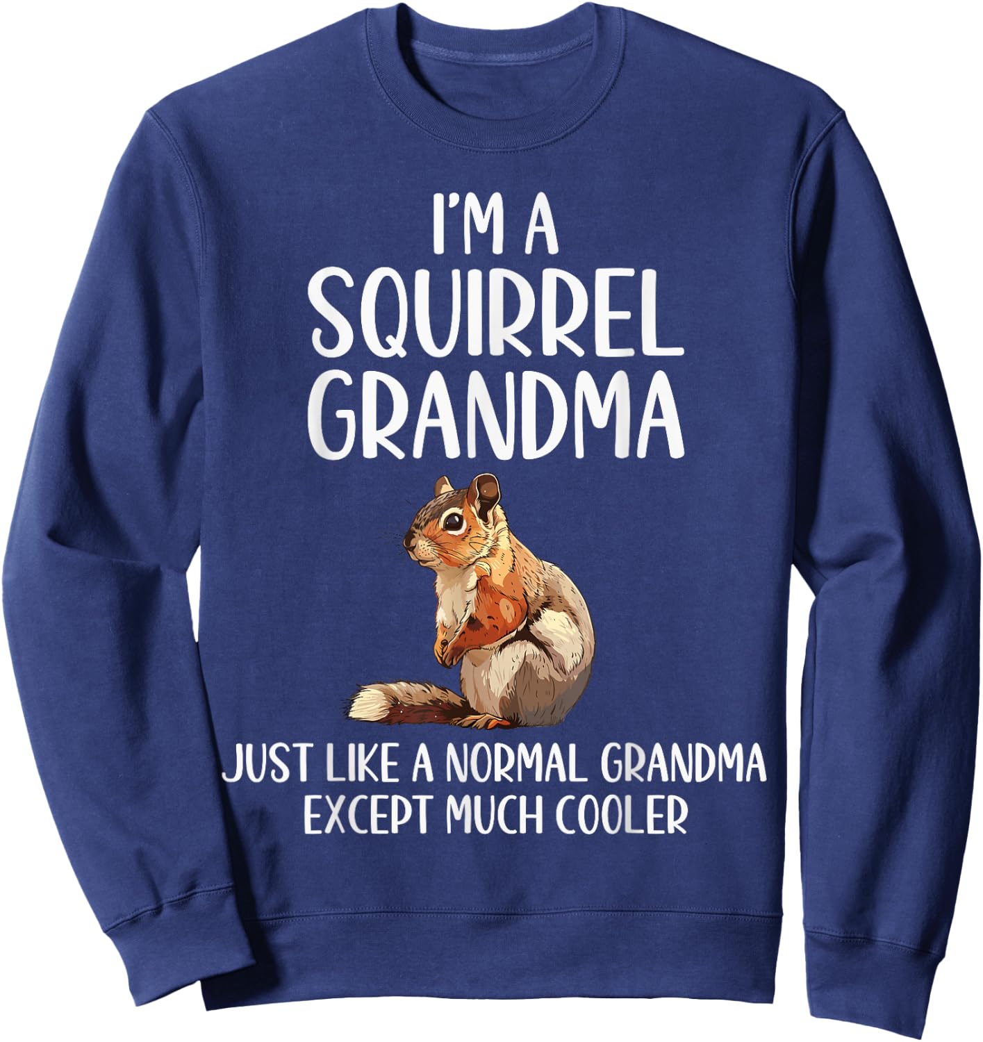 Squirrel Grandma Definition Squirrel Lover Mothers Day Sweatshirt - Sweatshirt | Navy