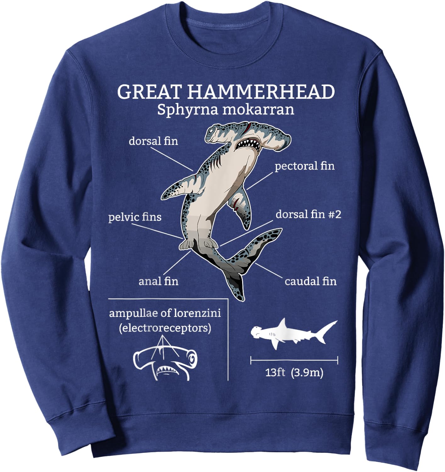 Great Hammerhead Shark Anatomy Ocean Animal Marine Biologist Sweatshirt - Sweatshirt | Navy