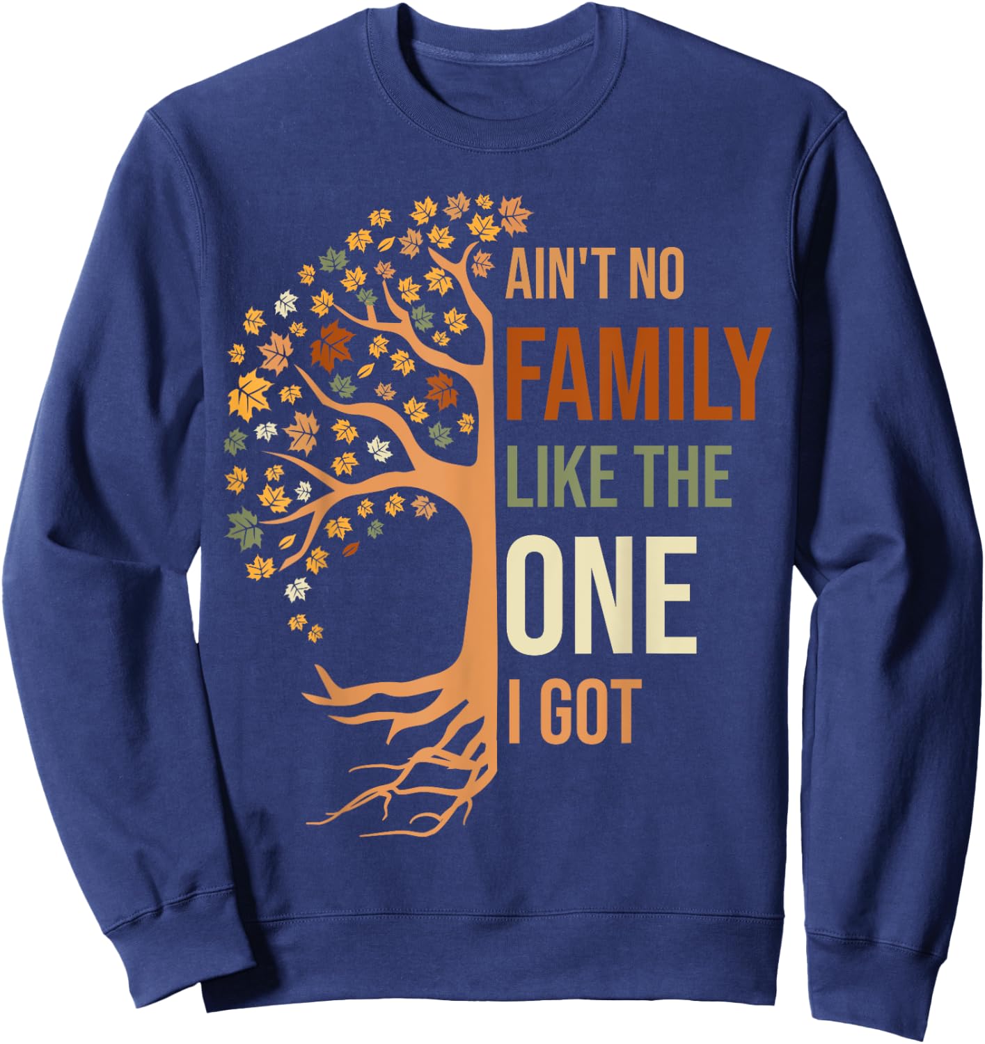 Ain't No Family Like The One I Got Funny Family Reunion Sweatshirt - Sweatshirt | Navy