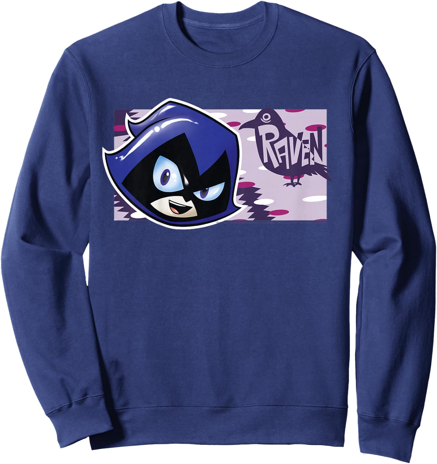 Kids DC Comics Teen Titans Go! Raven Character Panel Sweatshirt - Sweatshirt | Navy