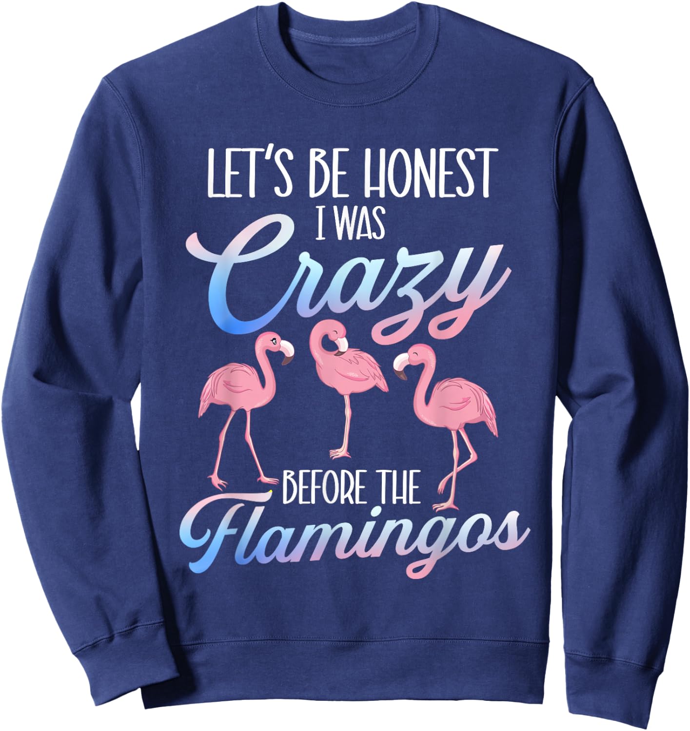Let's Be Honest I Was Crazy Before - Flamingo Lover Sweatshirt - Sweatshirt | Navy
