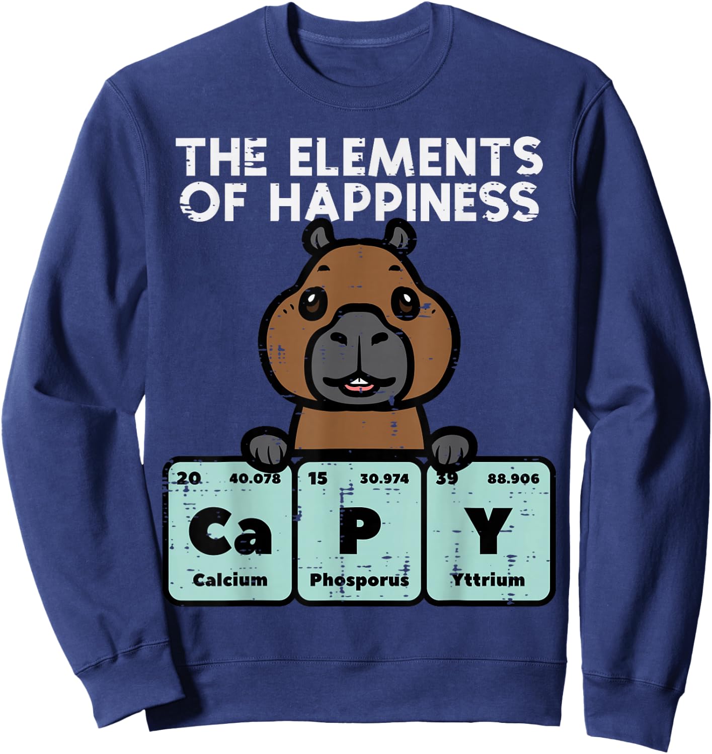 Capybara Elements of Happiness Capy Science Men Women Kids Sweatshirt - Sweatshirt | Navy
