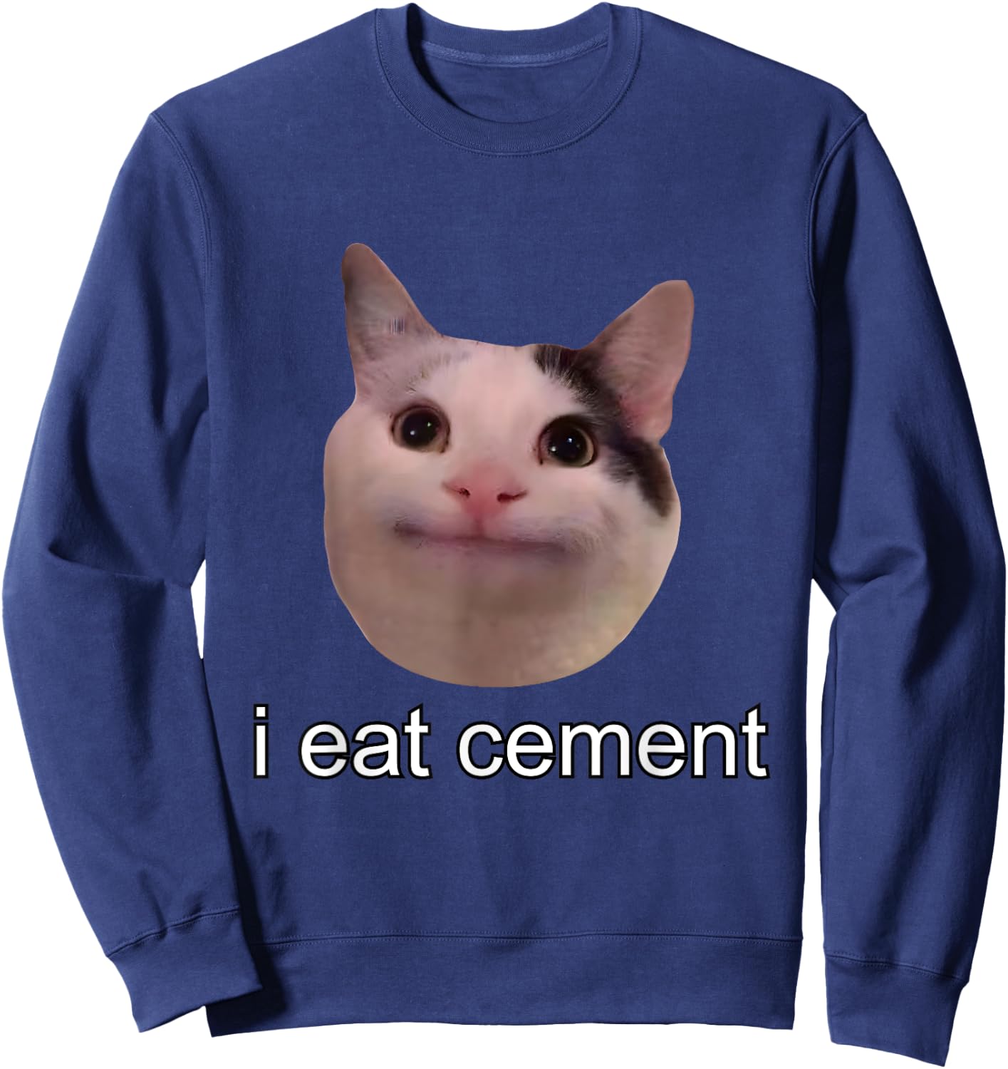 I Eat Cement Cursed Cat Funny Oddly Specific Meme Sweatshirt - Sweatshirt | Navy