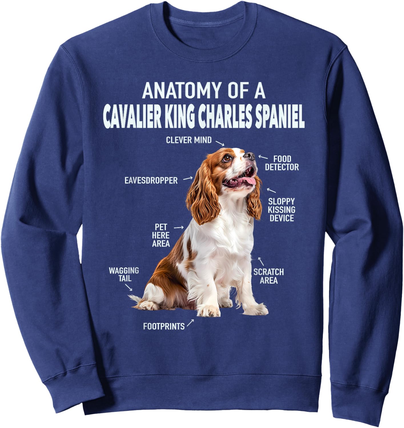 Anatomy Of A Cavalier King Charles Spaniel Sweatshirt - Sweatshirt | Navy