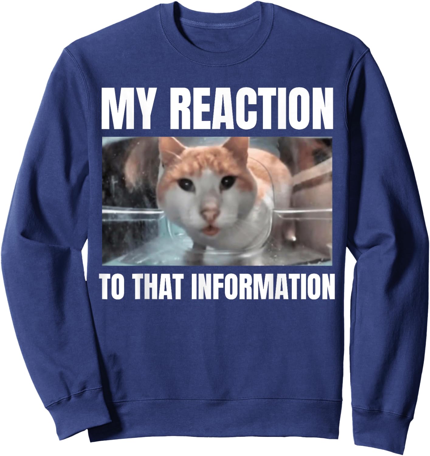 Hello Street Cat Funny Staring Bombastic Side Eye Meme Cats Women Sweatshirt - Sweatshirt | Navy