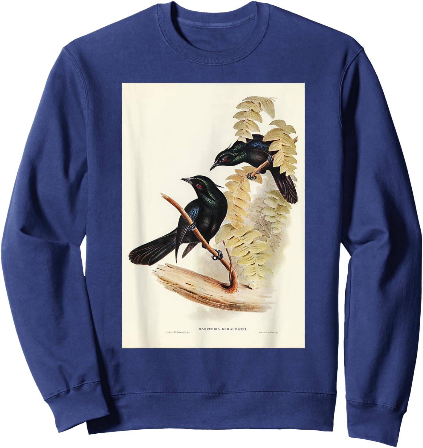 Keraudren's Crow-Shrike Birds Illustration & Women Sweatshirt - Sweatshirt | Navy