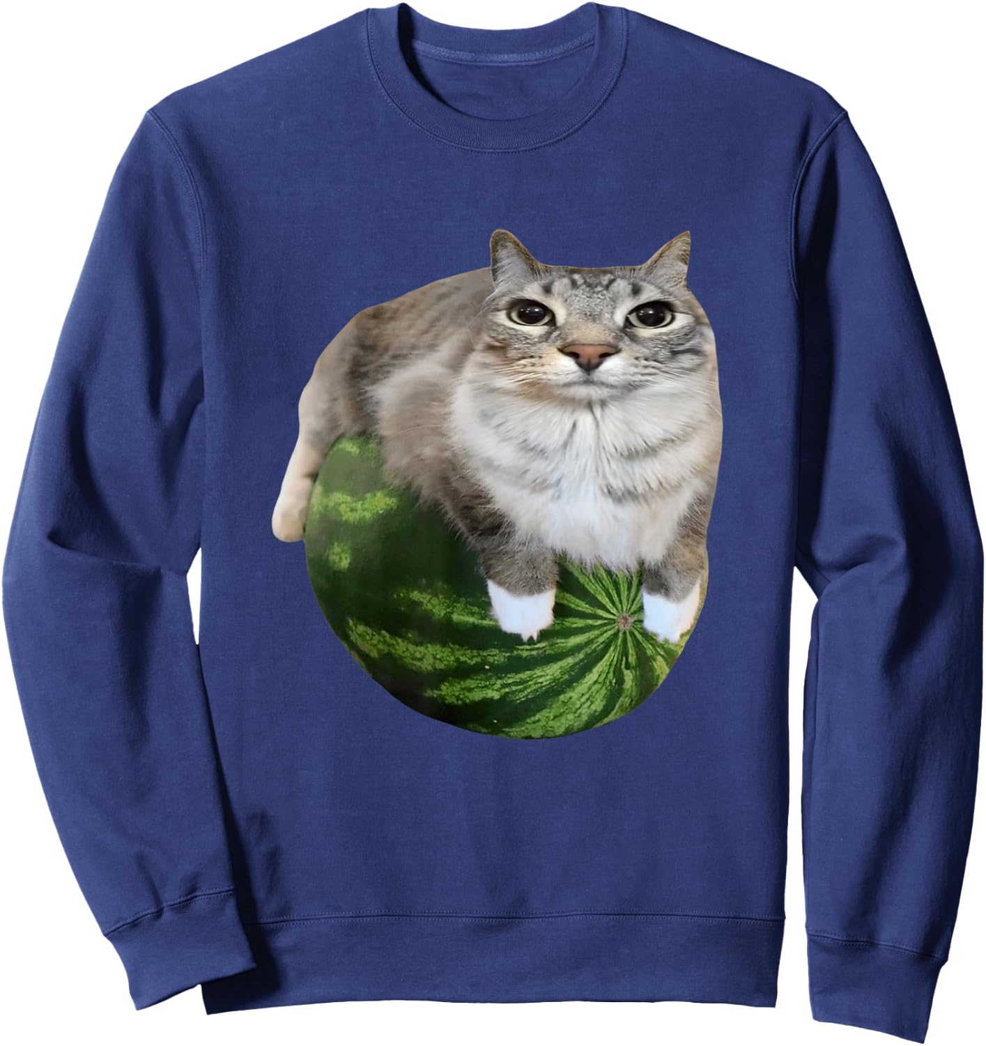 Watermelon Cat Silly Cat Meme Sweatshirt - Sweatshirt | Navy