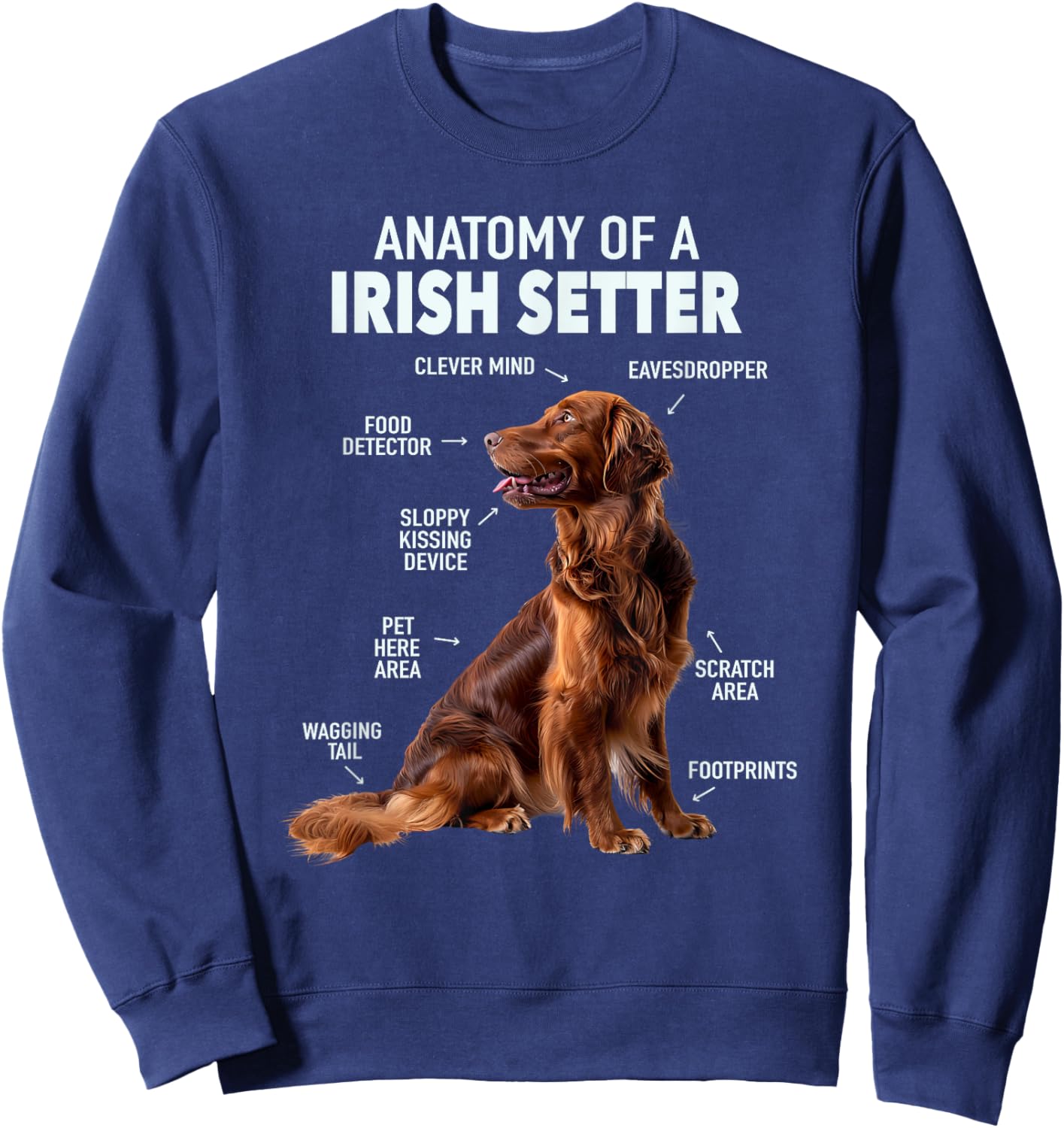 Anatomy Of A Irish Setter Sweatshirt - Sweatshirt | Navy