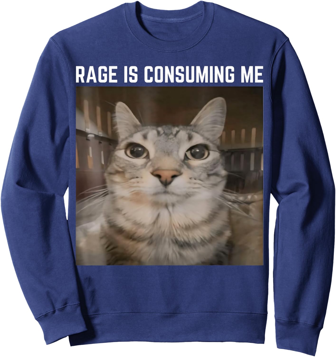 Rage is Consuming Me Meme Cat Meme Oddly Specific Memes Joke Sweatshirt - Sweatshirt | Navy