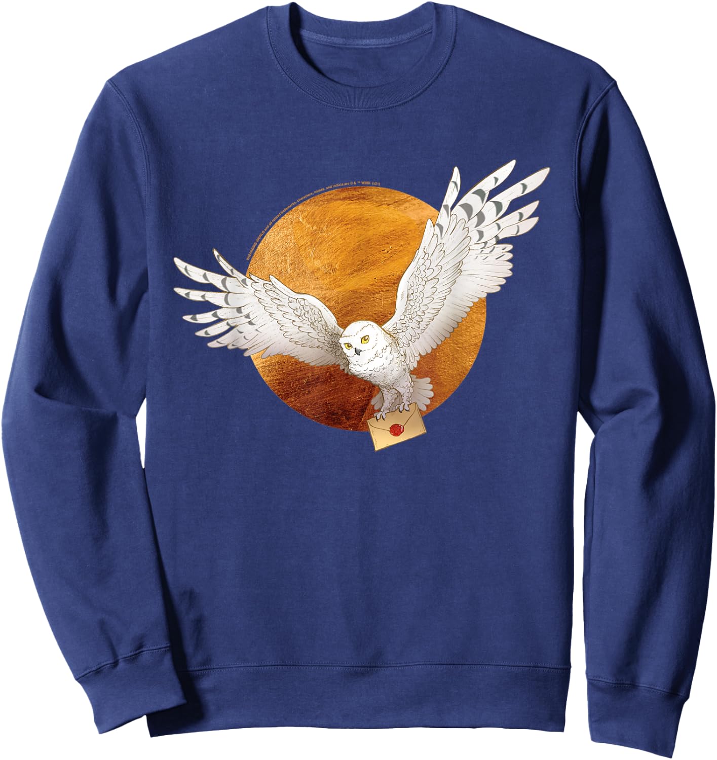 Harry Potter Hedwig and The Moon Small Sweatshirt - Sweatshirt | Navy