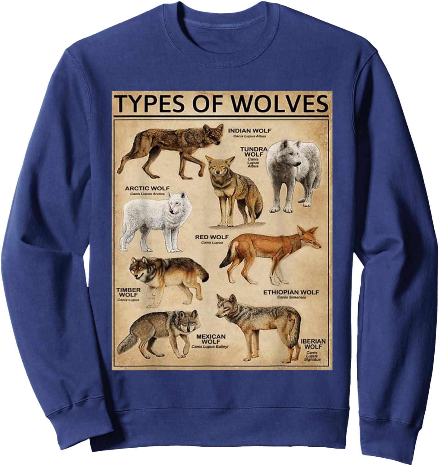 Wolf Types Animal Wolves of the World Educational Collection Sweatshirt - Sweatshirt | Navy