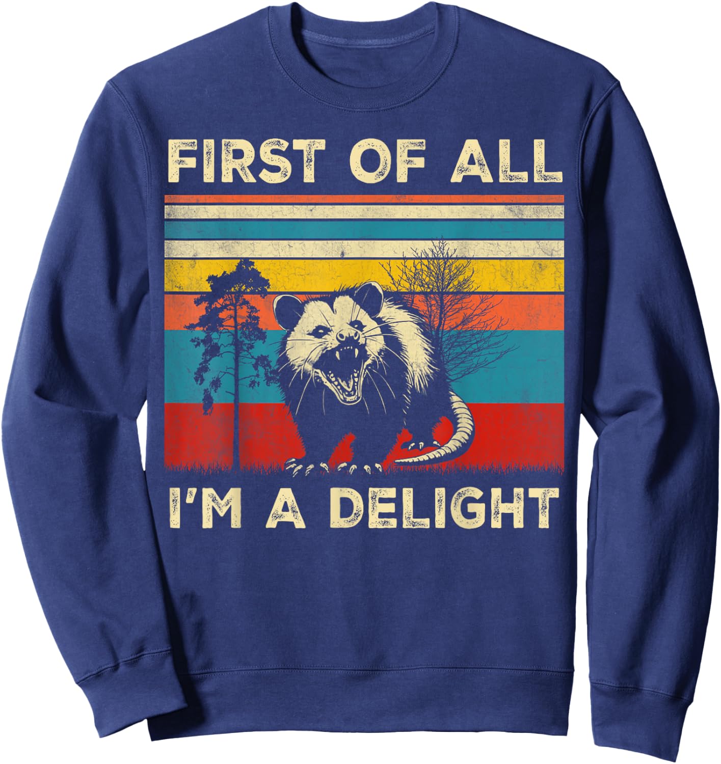 Vintage Opossum Funny Possum , Women, Boys, Girls, Teens, Kids, Black, Small Sweatshirt - Sweatshirt | Navy