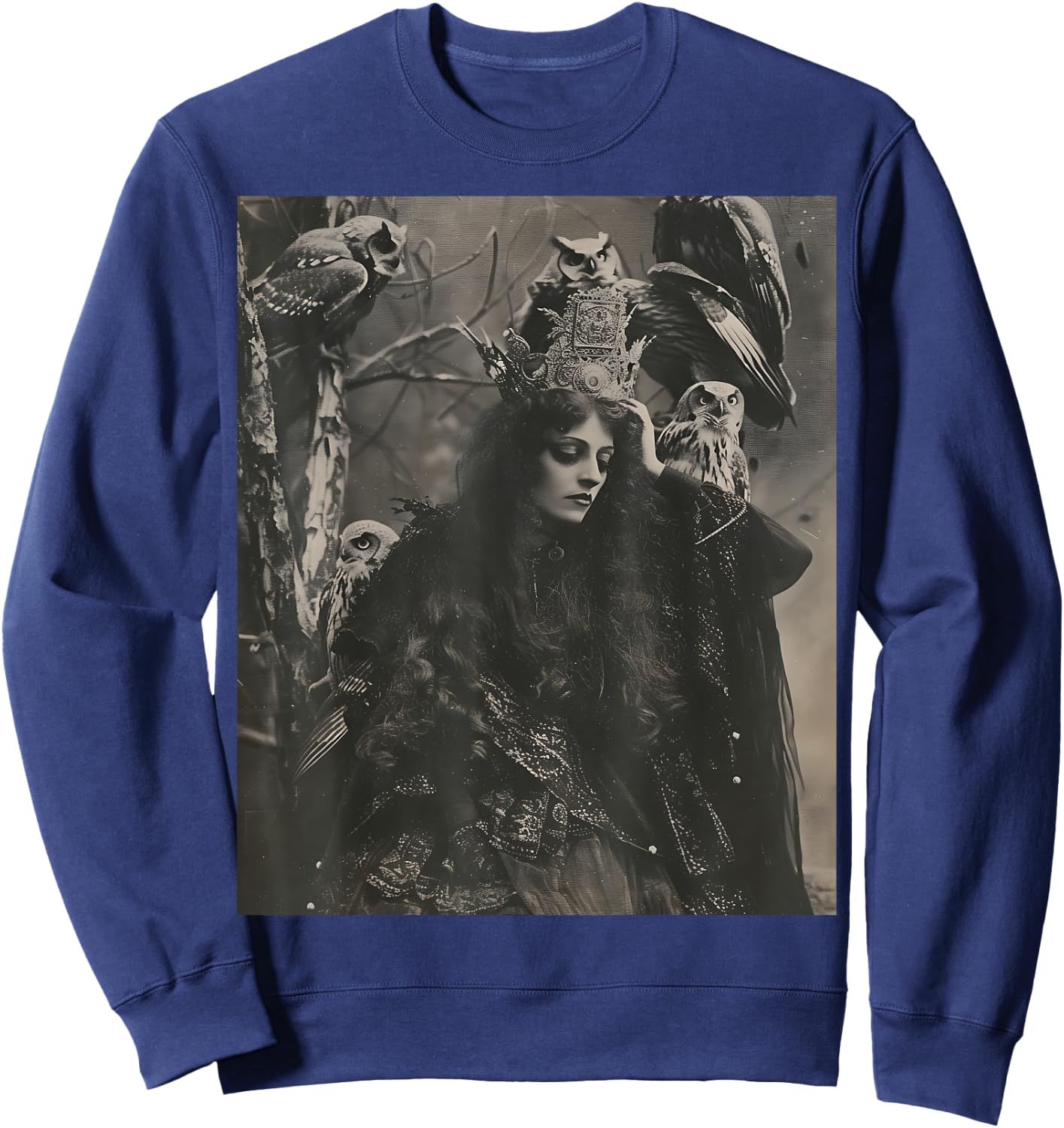 Vintage Witch Sorceress With Raptor Owl Birds Goth Gothic Sweatshirt - Sweatshirt | Navy