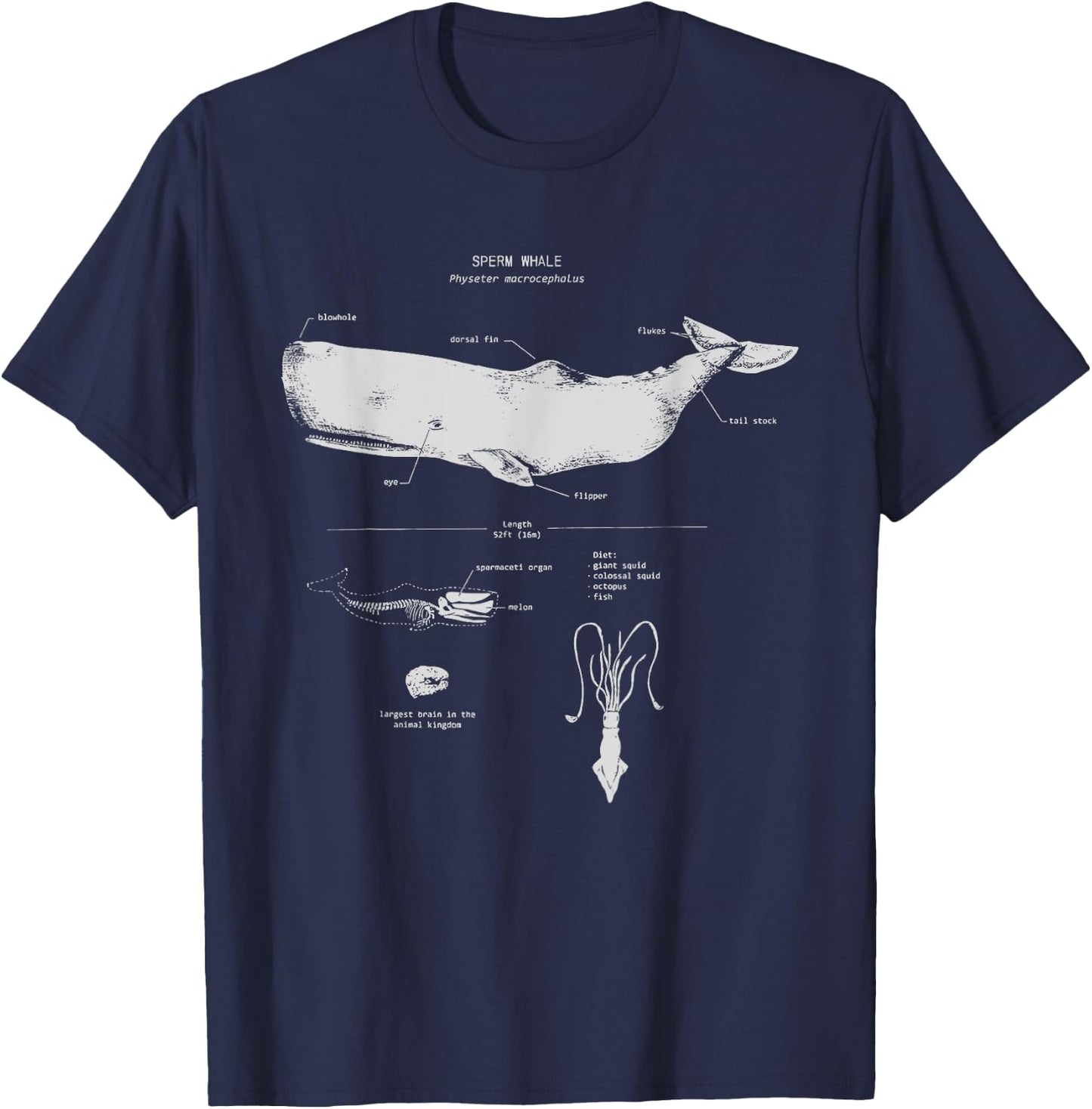 Sperm Whale Anatomy Shark Biology | Marine Biologist T-Shirt - T-Shirt | Navy