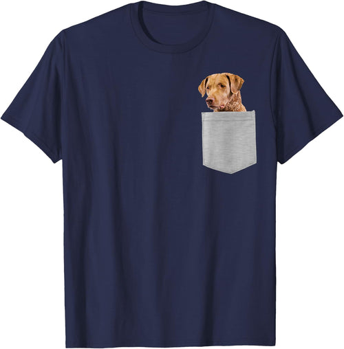 Dog in Your Pocket Chesapeake Bay Retriever