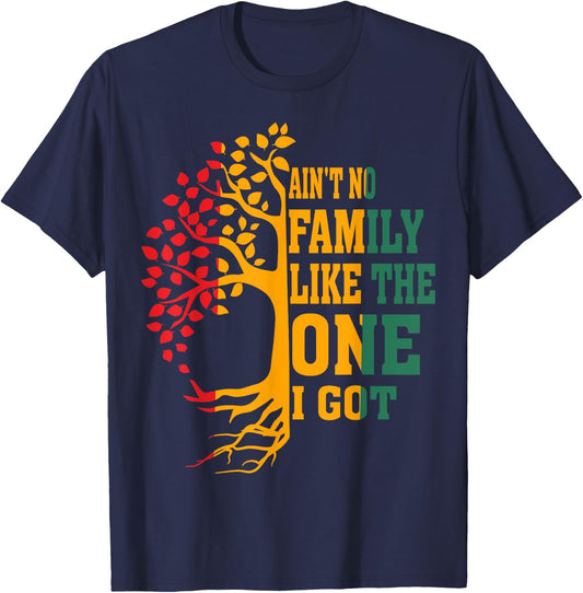 Ain't No Family Like The One I Got Funny Family Reunion 2024 T-Shirt - T-Shirt | Navy