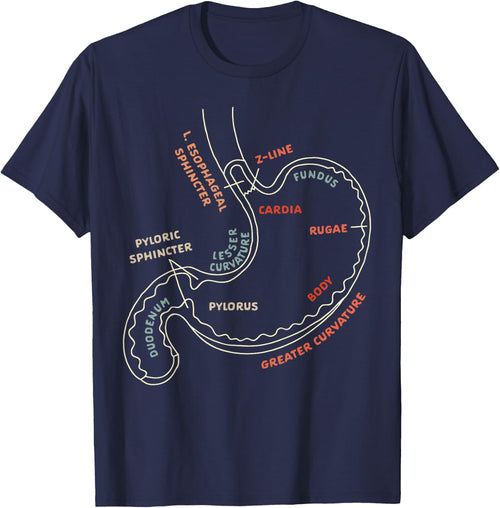 Gastroenterologist GI Nurse Gastroparesis Stomach Anatomy