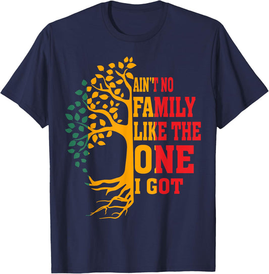 Ain't No Family Like The One I Got Funny Family Reunion 2024 T-Shirt - T-Shirt | Navy