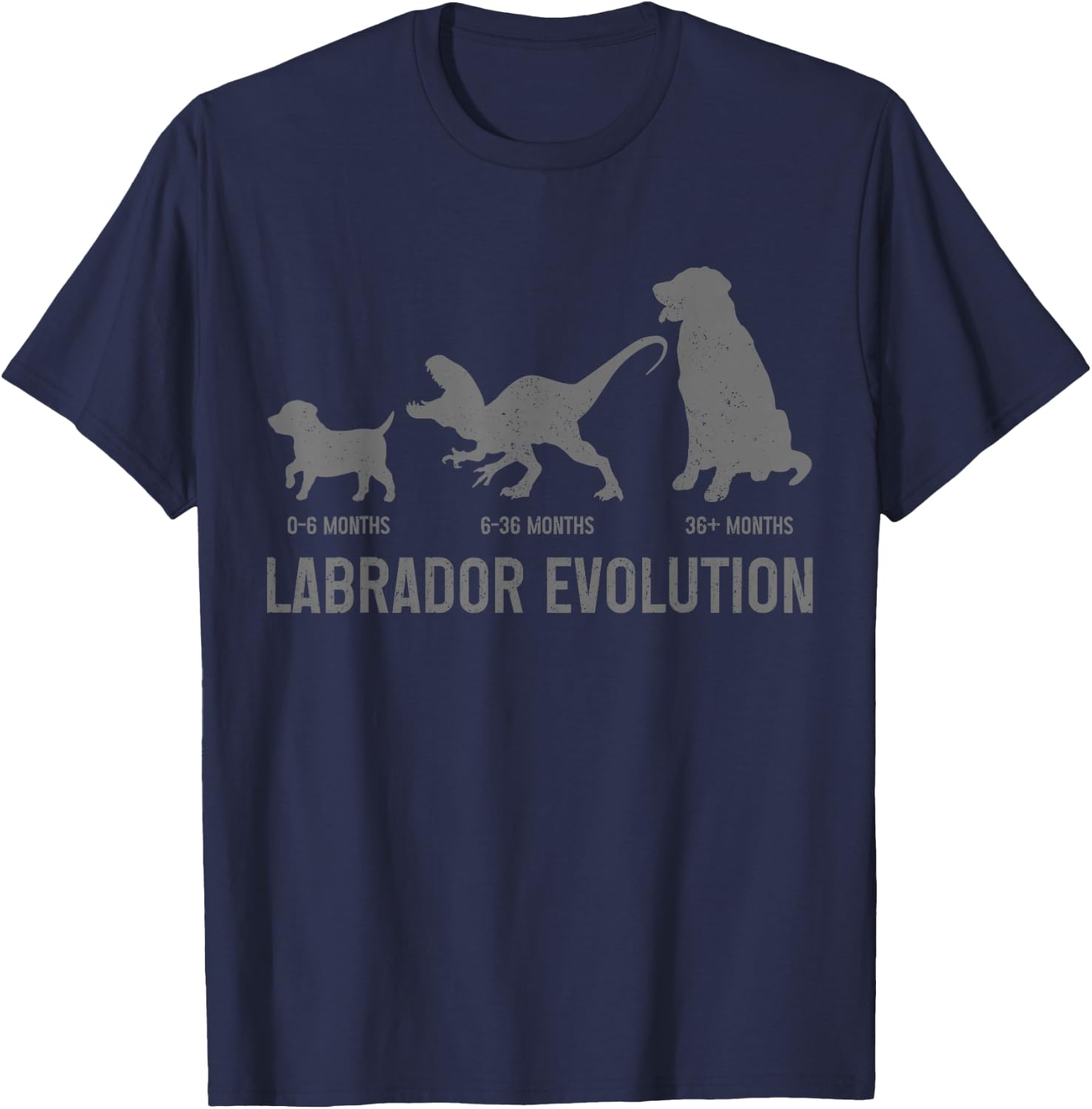 Labrador Evolution Funny Labrador Retriever Mom Dad Dog T-Shirt - T-Shirt | Navy