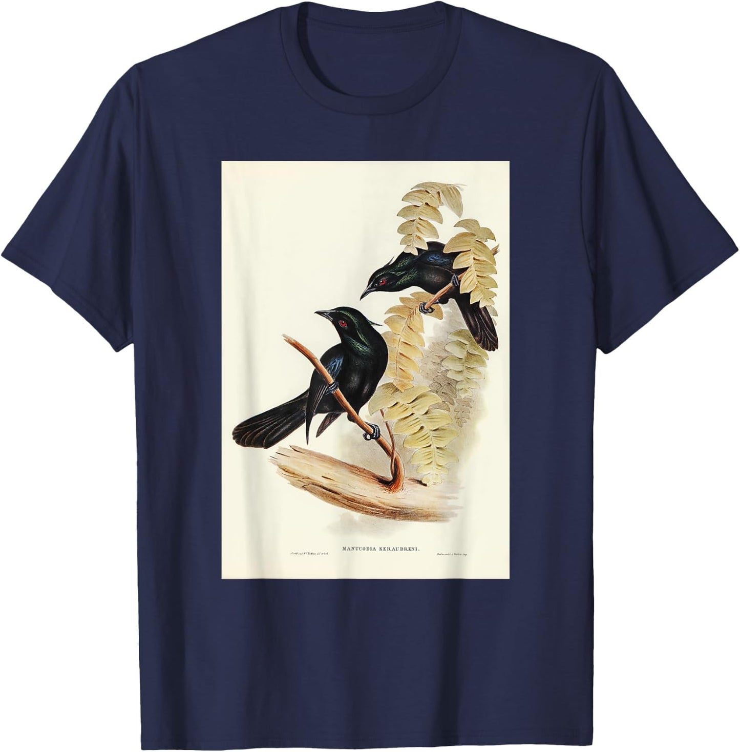 Keraudren's Crow-Shrike Birds Illustration & Women T-Shirt - T-Shirt | Navy