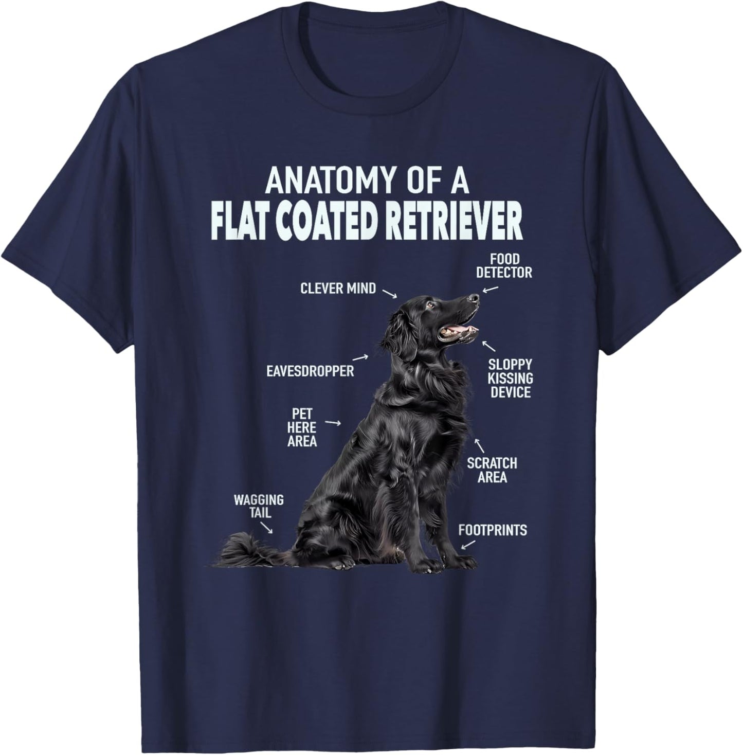 Anatomy Of A Flat Coated Retriever , Small, Black T-Shirt - T-Shirt | Navy