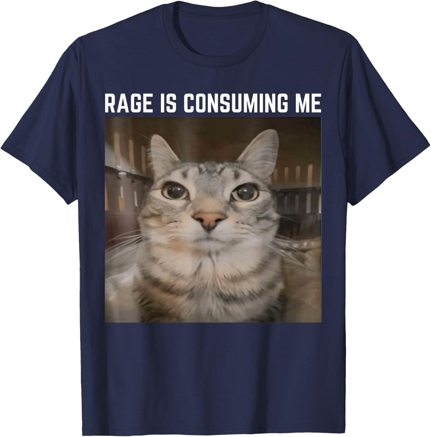 Rage is Consuming Me Meme Cat Meme Oddly Specific Memes Joke T-Shirt - T-Shirt | Navy