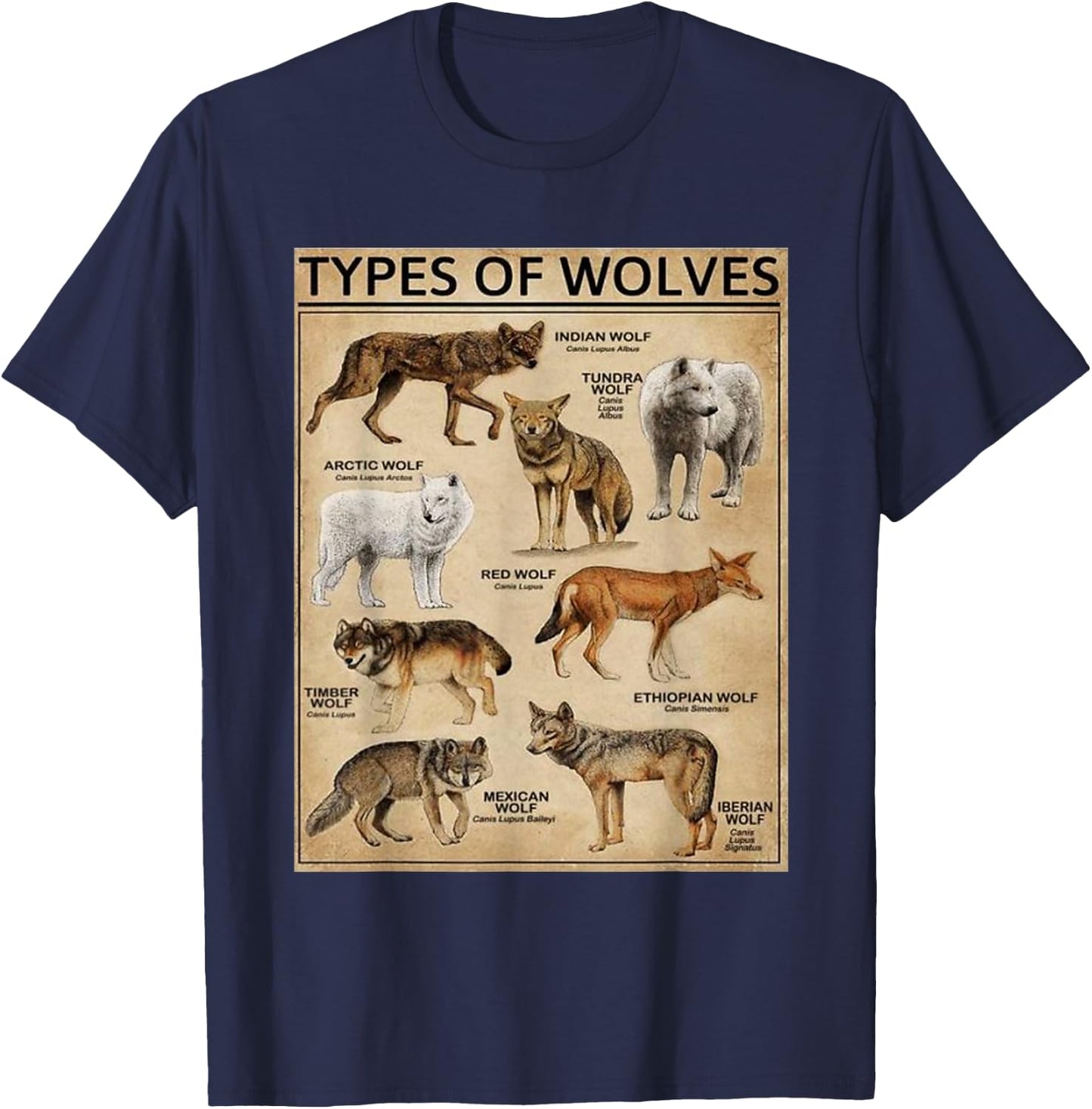 Wolf Types Animal Wolves of the World Educational Collection T-Shirt - T-Shirt | Navy
