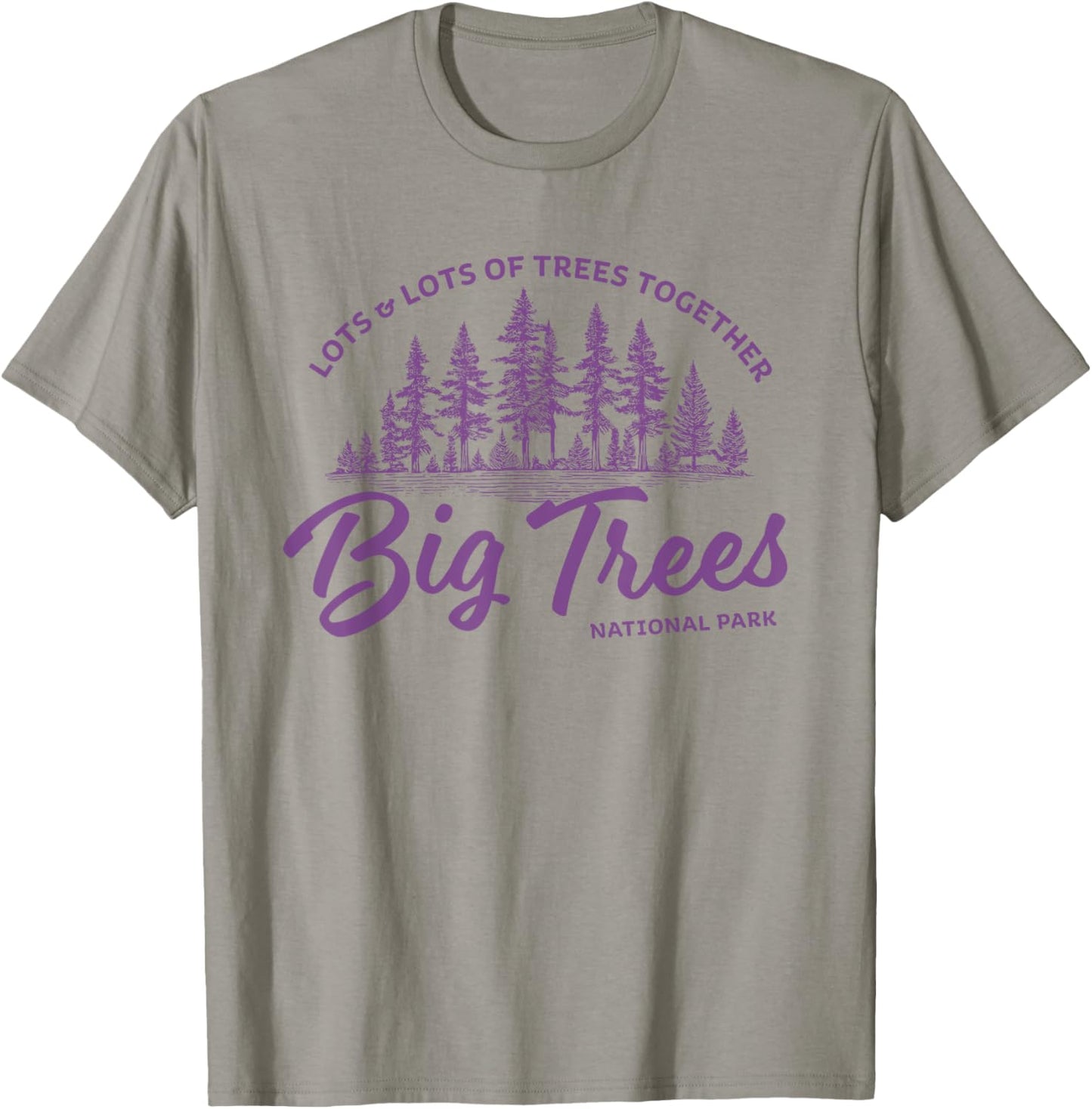 Big Trees Park - Hanson Band Fan Concert Tour Wear T-Shirt - T-Shirt | Sand